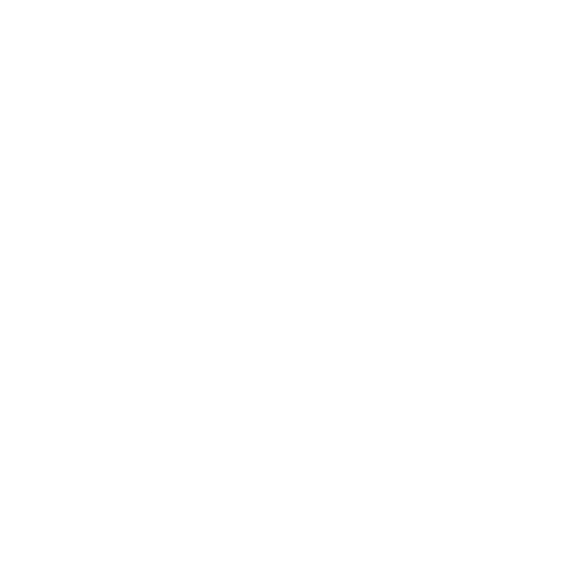 Pirate Skull