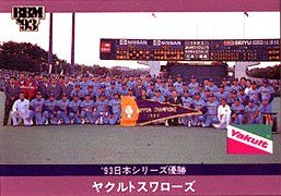 ９３年日本シリーズ優勝・ヤクルトスワローズ【第44回日本シリーズカードセット】BBM1993#S57 - 野球カードのミッチェルトレーディング