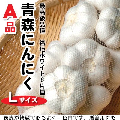 青森にんにく福地ホワイト6片種