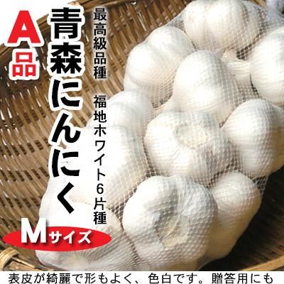 新物 青森県産福地ホワイトニンニク Mサイズ2.4kg