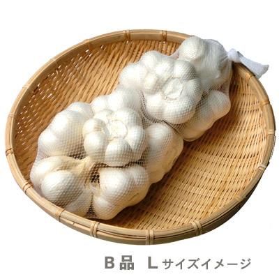 青森にんにくB品2Lサイズ