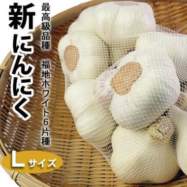 生ニンニク10kg サイズMメイン 青森県産 - 野菜