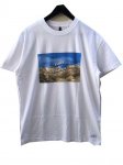 <img class='new_mark_img1' src='https://img.shop-pro.jp/img/new/icons20.gif' style='border:none;display:inline;margin:0px;padding:0px;width:auto;' />STAMPDץ<BR>SURF THE EARTH  TEE white