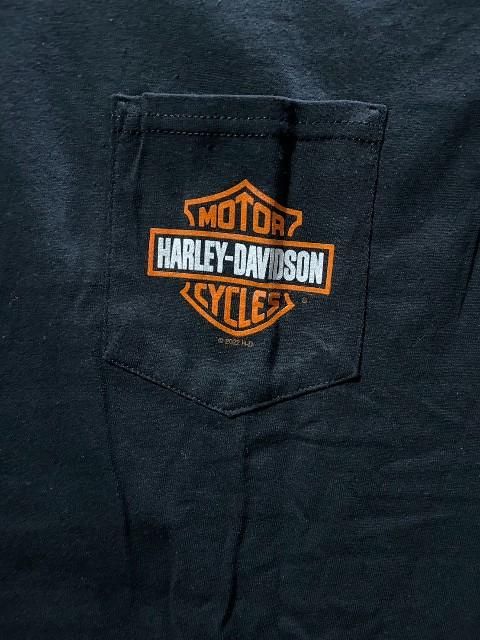 米国 LA 購入 シルクスクリーン 48/100 年代不明 ハーレーダビッドソン