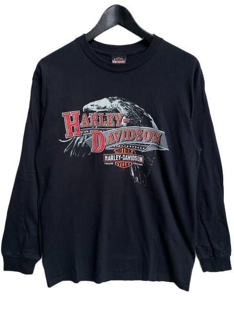 HARLEY-DAVIDSONハーレーダビッドソンAGED LS ロンT black- 夜型大型