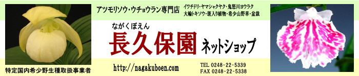 長久保園ネットショップ