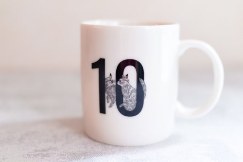 10th anniversary mug