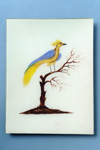 ジョンデリアン　レクタングルトレイ8×10.5”　鳥tropical