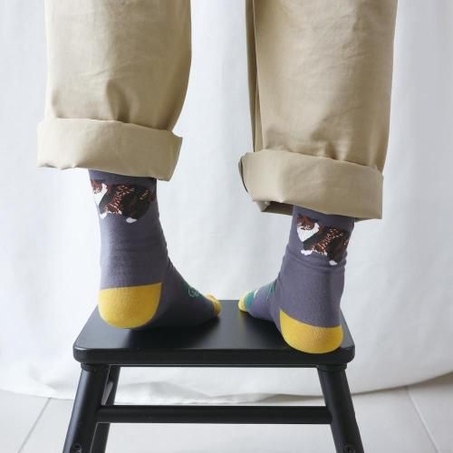 <img class='new_mark_img1' src='https://img.shop-pro.jp/img/new/icons5.gif' style='border:none;display:inline;margin:0px;padding:0px;width:auto;' />ھߥ業ۥåBack Cat