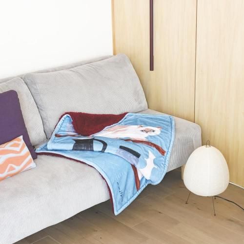 <img class='new_mark_img1' src='https://img.shop-pro.jp/img/new/icons5.gif' style='border:none;display:inline;margin:0px;padding:0px;width:auto;' />ھߥ業ۥ֥󥱥å