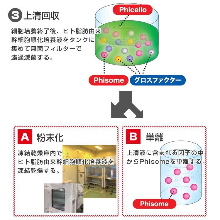 SCJ Beleefine - ベルフィーヌ | ヒト脂肪由来幹細胞順化培養液