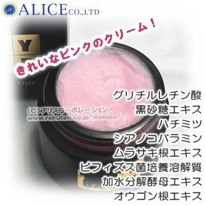 エンチベース（40g）』×2個セット 旧品名 薬用エンチベース お肌の