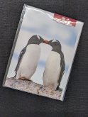 17489 Two Penguins Touching Beaks