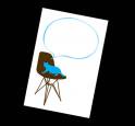 ֥ͥ饦 cat on the chair