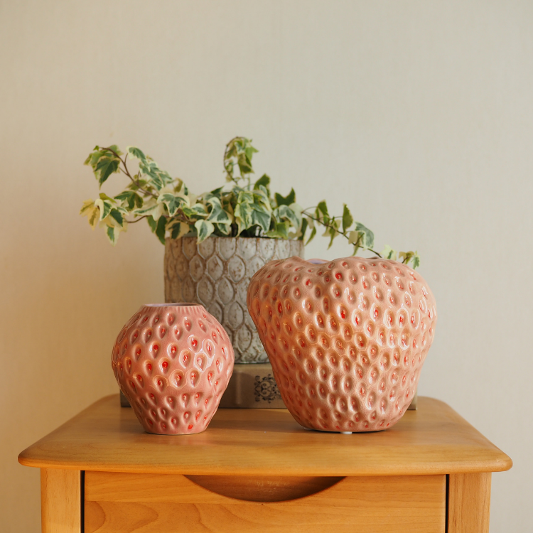 デスポッツのいちごの花瓶と観葉植物
