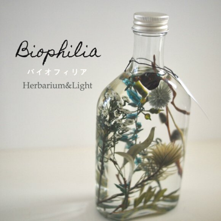 Biophilia（ハーバリウム＆ライト）