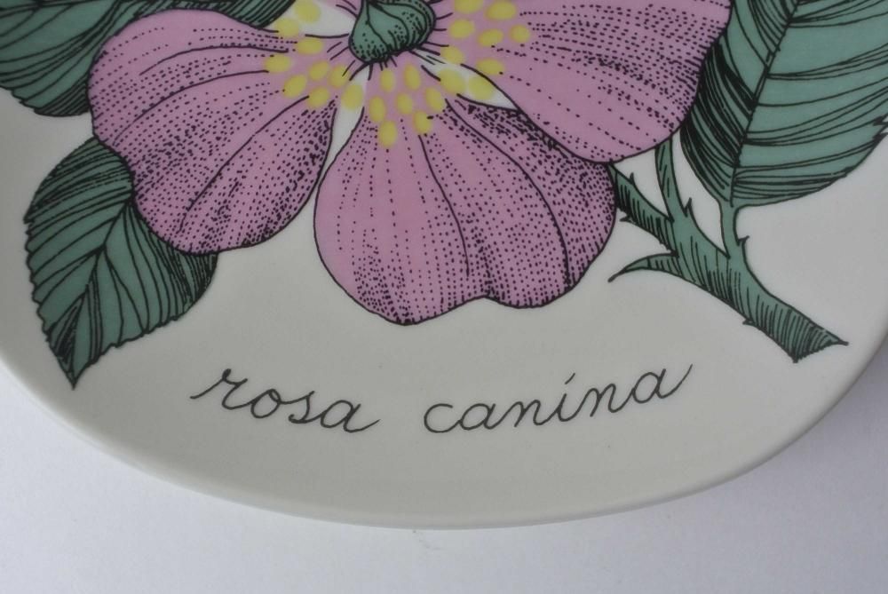 ARABIA エステリ・トムラ ボタニカ \"Rosa canina\" ARABIA Botanica 