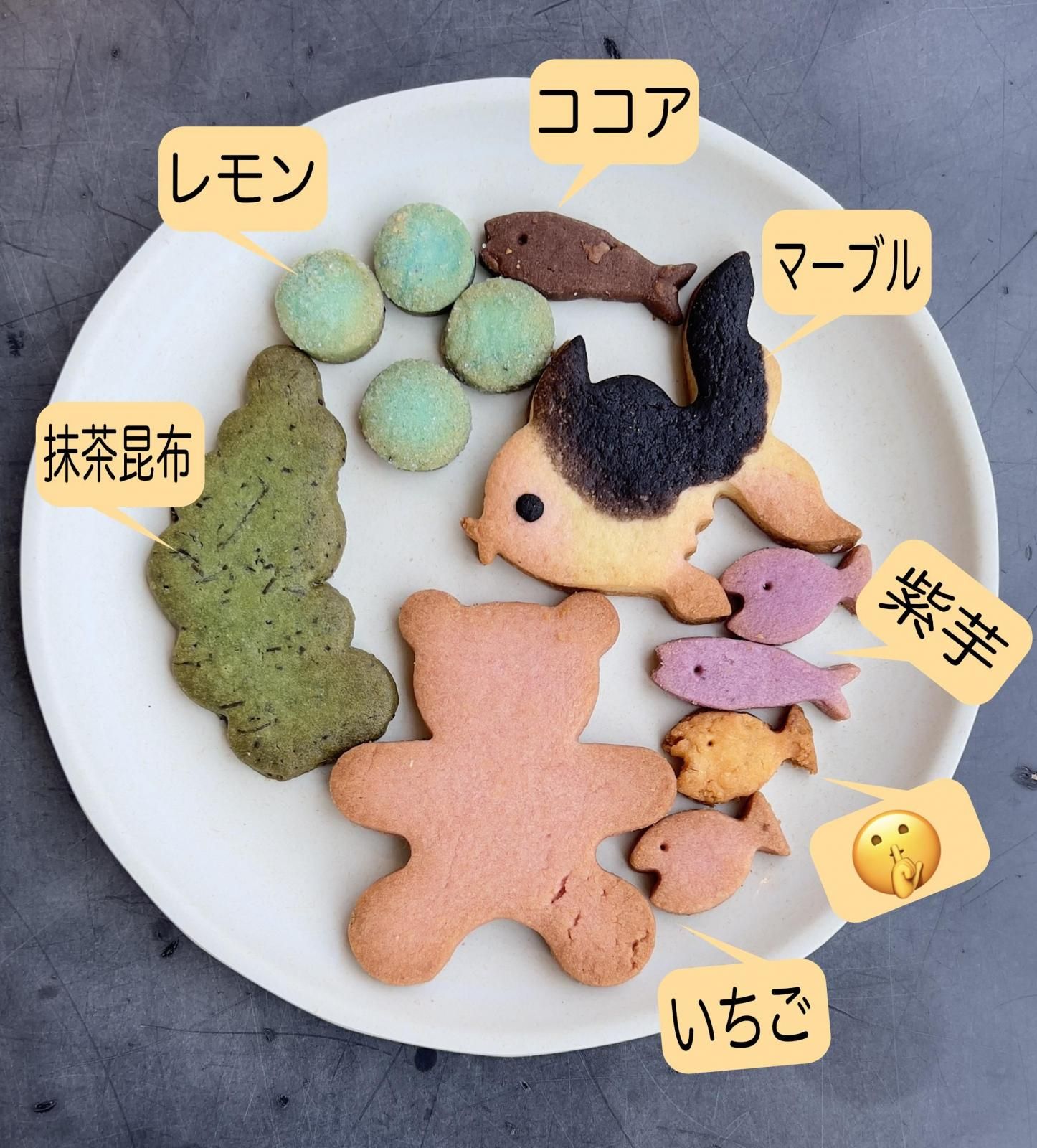 <img class='new_mark_img1' src='https://img.shop-pro.jp/img/new/icons15.gif' style='border:none;display:inline;margin:0px;padding:0px;width:auto;' />䡪åȡơڶ