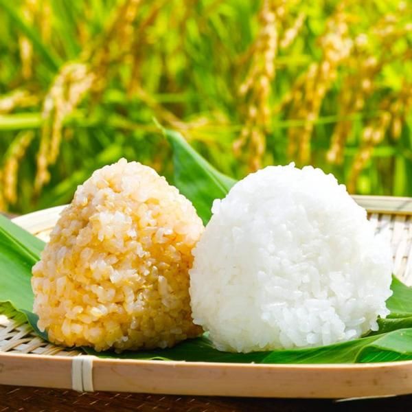 令和6年産 茨城県産 ミルキークイーン 精米 18kg (2kg×9袋
