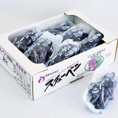 津軽ぶどう村のスチューベン