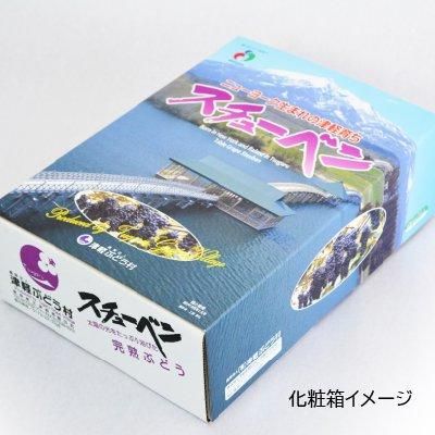 ぶどう スチューベン