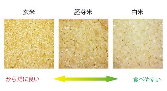自然栽培完熟米にこまる | 和歌山県久保さん - 安全なお米・自然