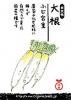 <img class='new_mark_img1' src='https://img.shop-pro.jp/img/new/icons15.gif' style='border:none;display:inline;margin:0px;padding:0px;width:auto;' />ڴָ纬դܽš񻺼ˡҡ1٤ޤ