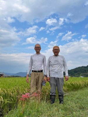 奈良県産 自然栽培ひのひかり | 5kg - 安全なお米・自然食品 【根っこや】WEBSHOP