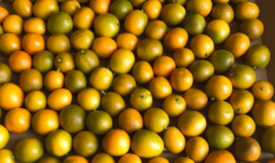 <img class='new_mark_img1' src='https://img.shop-pro.jp/img/new/icons25.gif' style='border:none;display:inline;margin:0px;padding:0px;width:auto;' />���ɸ��������μ��������������������150�� ���ﲹ��ȯ��