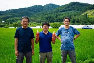 <img class='new_mark_img1' src='https://img.shop-pro.jp/img/new/icons65.gif' style='border:none;display:inline;margin:0px;padding:0px;width:auto;' />�ڥ���륮������¡�¤����ˡ��ۡڿ������١�����7ǯ�����̳�ƻ������������Ի��Ѥ椭�Ҥ��ꡡ5��硡������ǽ������1�٥����� 