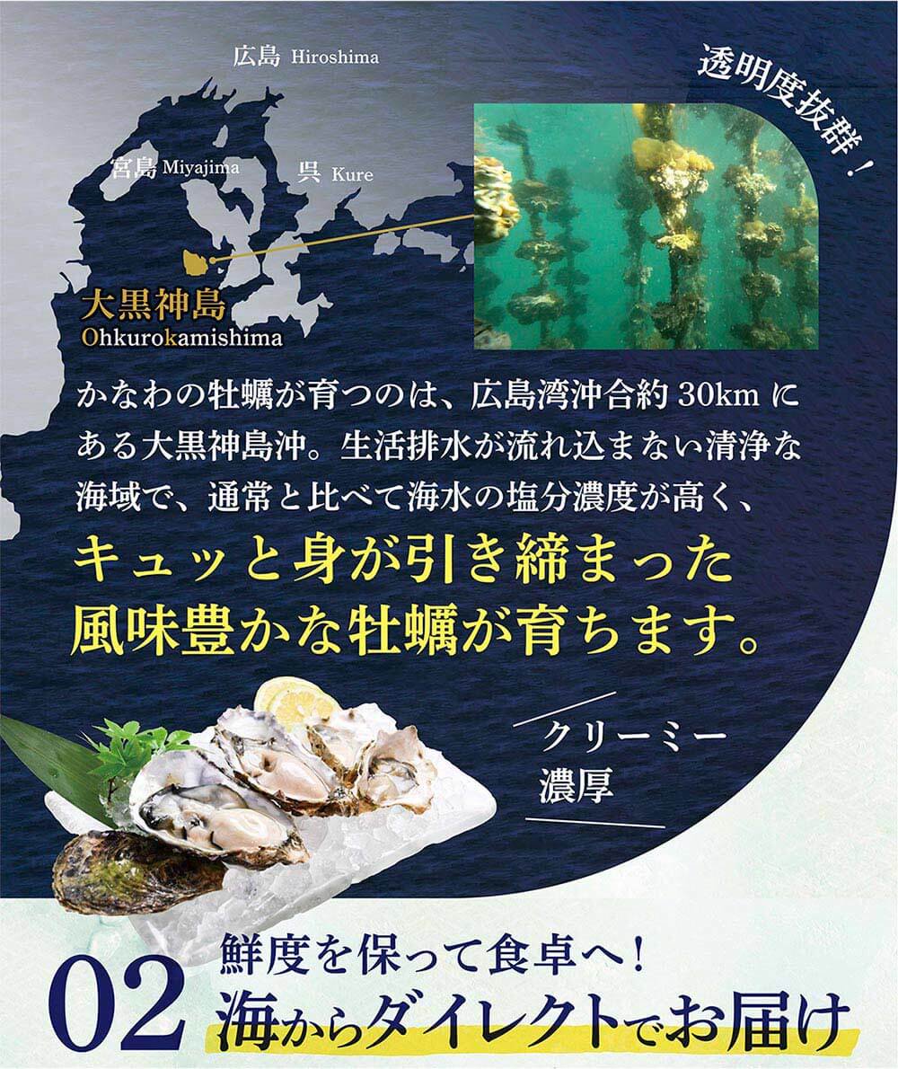 かなわのカキは広島県瀬戸内海で育ち風味豊かで濃厚