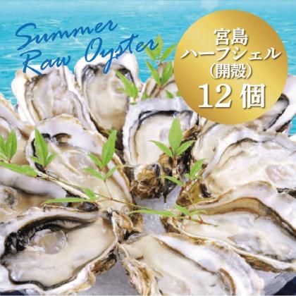 <img class='new_mark_img1' src='https://img.shop-pro.jp/img/new/icons1.gif' style='border:none;display:inline;margin:0px;padding:0px;width:auto;' />Ƶ<br>ѡ۵ϡե륪 <br>12
