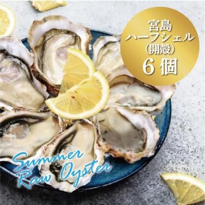 <img class='new_mark_img1' src='https://img.shop-pro.jp/img/new/icons1.gif' style='border:none;display:inline;margin:0px;padding:0px;width:auto;' />Ƶ<br>ѡ۵ϡե륪 <br>6