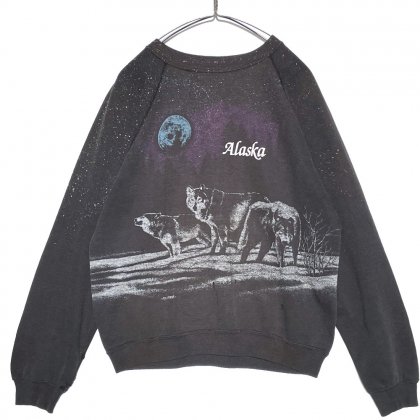  ΡHanes - Alaskaۥơ ٥˥ åȥġ1980'sVintage Sweat Shirt