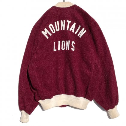  ΡMOUNTAIN LIONۥơ ӥå륨å  ɥ㥱åȡ1980'sVintage Award Jacket