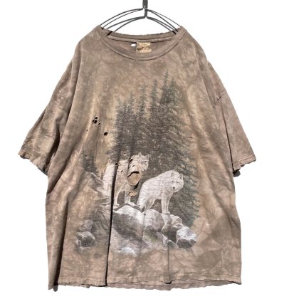  ΡTHE MOUNTAINۥơ  ץ T ϥ󥰡2000'sVintage Print T-Shirt