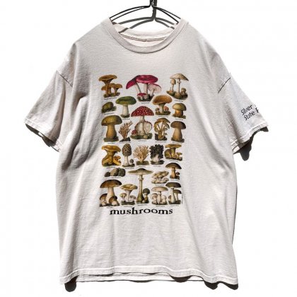  ΡSilver Falls State Parkۥơ  ޥå롼ץ ٥˥ Tġ2006'sVintage Print T-Shirt