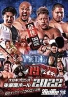 大日本プロレス パンフレットセット 商品検索 - BJ-SHOP(大日本プロレス公式通販サイト)