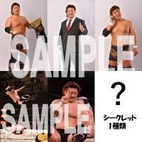 商品検索 - BJ-SHOP（大日本プロレス公式通販サイト）