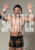 <img class='new_mark_img1' src='https://img.shop-pro.jp/img/new/icons15.gif' style='border:none;display:inline;margin:0px;padding:0px;width:auto;' />BJW Portrait2025 -The Premium-Ƿʸݡȥ졼(ver.1)