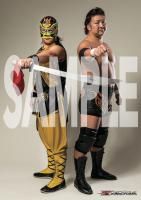 <img class='new_mark_img1' src='https://img.shop-pro.jp/img/new/icons15.gif' style='border:none;display:inline;margin:0px;padding:0px;width:auto;' />BJW Portrait2025 -The Premium-Ƿʸߥǥݡȥ졼