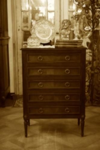 <img class='new_mark_img1' src='https://img.shop-pro.jp/img/new/icons43.gif' style='border:none;display:inline;margin:0px;padding:0px;width:auto;' />֤ʰФȡɥ