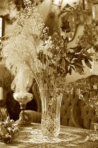 <img class='new_mark_img1' src='https://img.shop-pro.jp/img/new/icons43.gif' style='border:none;display:inline;margin:0px;padding:0px;width:auto;' />ꥢ 륯ꥹåΥڥ饷꡼ ե١()