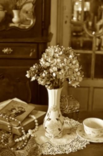 <img class='new_mark_img1' src='https://img.shop-pro.jp/img/new/icons43.gif' style='border:none;display:inline;margin:0px;padding:0px;width:auto;' />ϥɥᥤɤʤǤϤβ򴶤 ե١()