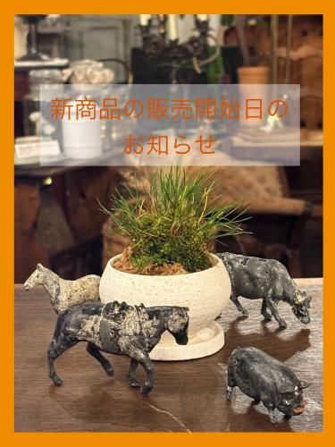 <img class='new_mark_img1' src='https://img.shop-pro.jp/img/new/icons15.gif' style='border:none;display:inline;margin:0px;padding:0px;width:auto;' />🟡✨ʤ䳫ΤΤ餻✨🟡