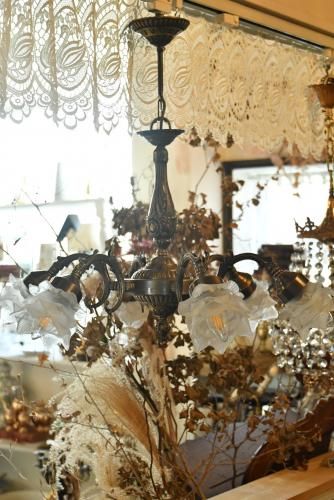 <img class='new_mark_img1' src='https://img.shop-pro.jp/img/new/icons43.gif' style='border:none;display:inline;margin:0px;padding:0px;width:auto;' />ɤΥǥꥢ6 ()