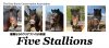 クリアファイル　five stallions