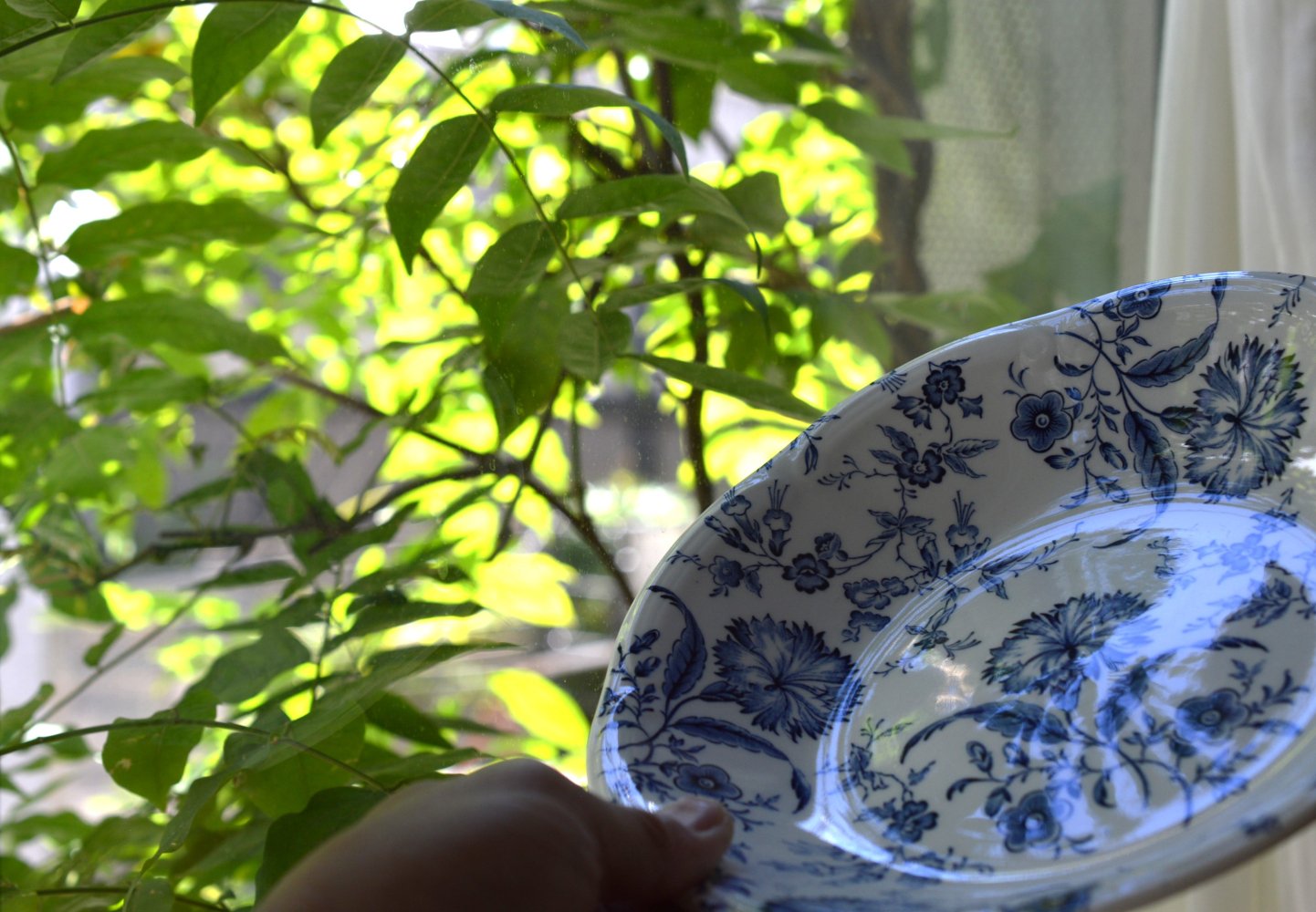 Gien & Enoch Wedgwood “Wild flower” 深皿21cm - Tsubame Markt