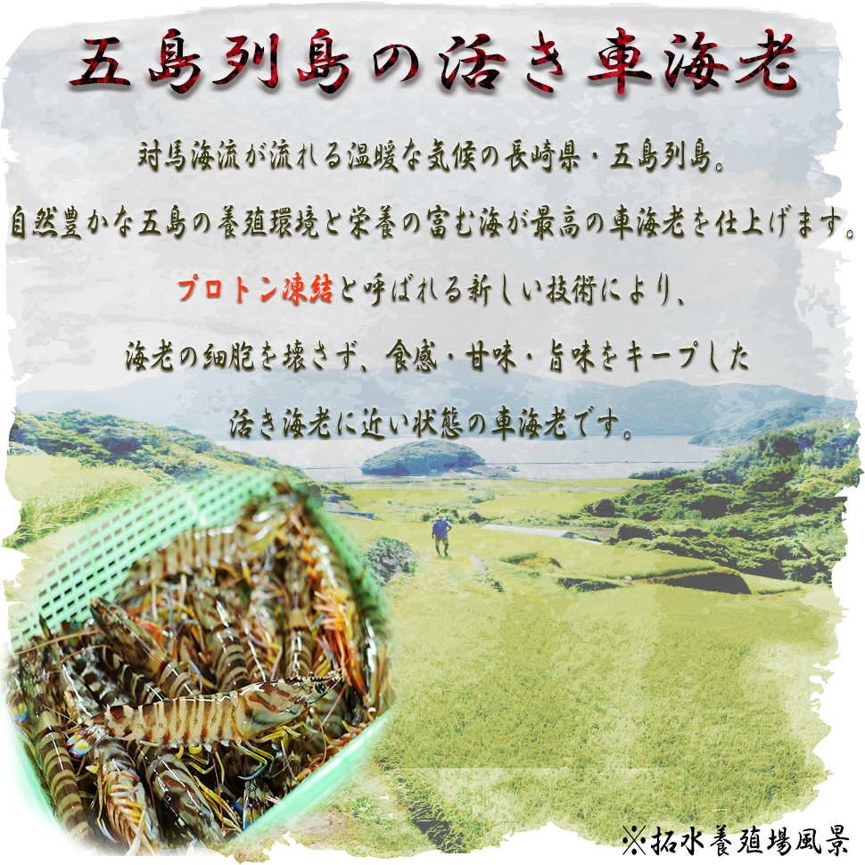 商品説明