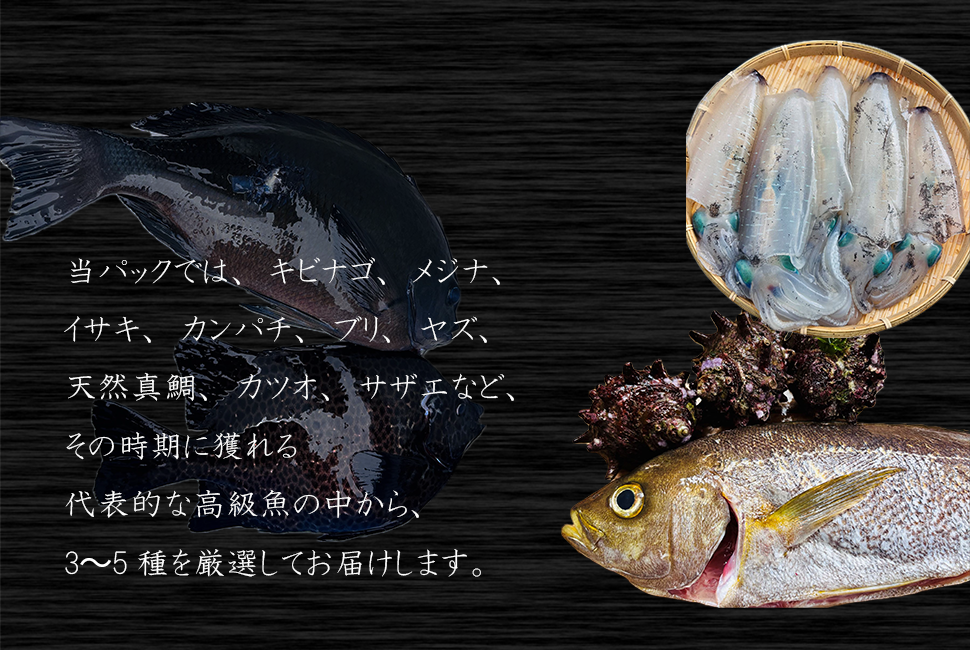 դζˤ߻ɿȥѥåڿ۾2